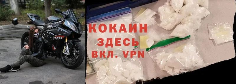 дарнет шоп  гидра маркетплейс  Cocaine VHQ  Советская Гавань 