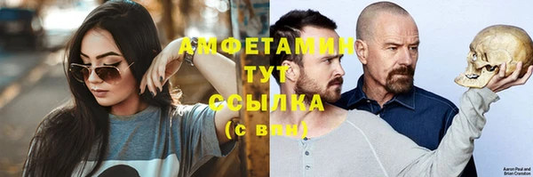амф Пересвет