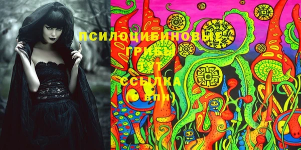 соль ск Переславль-Залесский
