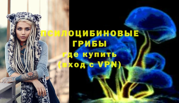 ПСИЛОЦИБИНОВЫЕ ГРИБЫ Губаха