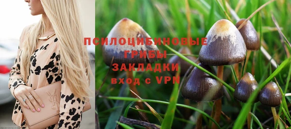 соль ск Переславль-Залесский