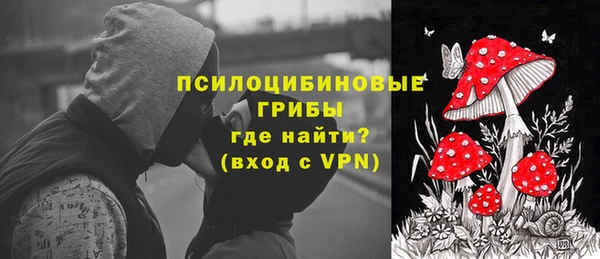 соль ск Переславль-Залесский