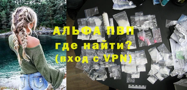 прущие грибы Грязовец