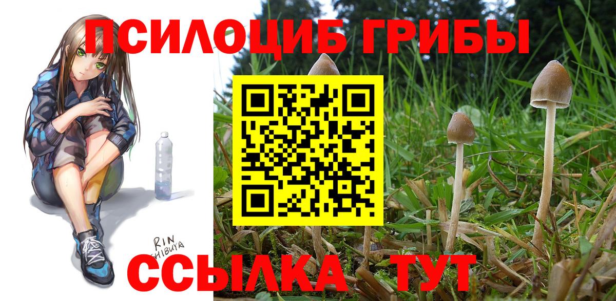 Советская Гавань  Галлюциногенные грибы Psilocybine cubensis  Псилоцибиновые грибы Psilocybine cubensis  закладки  Вход с VPN 