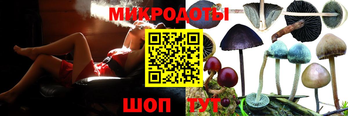 Галлюциногенные грибы GOLDEN TEACHER Советская Гавань